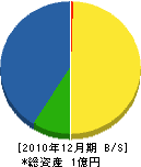 日本緑地 貸借対照表 2010年12月期