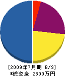 高島電気 貸借対照表 2009年7月期