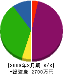 大阿蘇電総 貸借対照表 2009年3月期