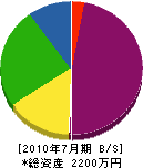 和田水道 貸借対照表 2010年7月期