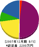 柴田商事 貸借対照表 2007年12月期