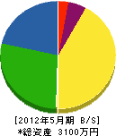 宮崎塗装店 貸借対照表 2012年5月期