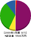 安田緑運 貸借対照表 2009年3月期
