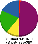 京都造園 貸借対照表 2009年3月期
