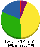 森田造園 貸借対照表 2012年5月期