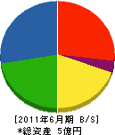 岡藤組 貸借対照表 2011年6月期