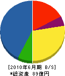 日本エレベーター製造 貸借対照表 2010年6月期