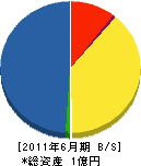 中島水道 貸借対照表 2011年6月期