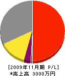 田中フェンス工業 損益計算書 2009年11月期