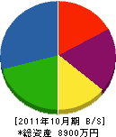 カワケン工業 貸借対照表 2011年10月期