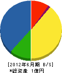 近江電設工業 貸借対照表 2012年6月期