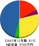 佐藤十工務店 貸借対照表 2007年12月期