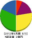 松村工務店 貸借対照表 2012年6月期