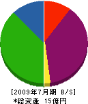 寺沢建設 貸借対照表 2009年7月期