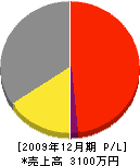 青島要商店 損益計算書 2009年12月期