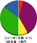 入江電機工業所 貸借対照表 2011年1月期