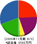 島田建設 貸借対照表 2009年11月期