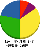 田辺電業社 貸借対照表 2011年6月期