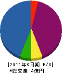 堀内工務店 貸借対照表 2011年6月期