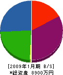斎藤造園土木 貸借対照表 2009年1月期