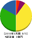 奈良電機重工 貸借対照表 2010年3月期