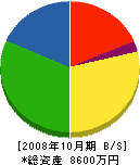 森澤産業 貸借対照表 2008年10月期