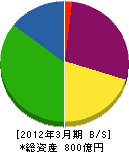 ツバキ・ナカシマ 貸借対照表 2012年3月期