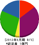 大阪装飾 貸借対照表 2012年6月期