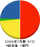 和田建設 貸借対照表 2008年7月期