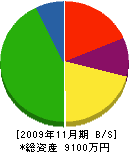 豊和電設工業 貸借対照表 2009年11月期