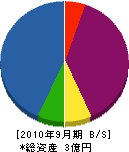 片桐造園建設 貸借対照表 2010年9月期