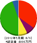 野田塗装店 貸借対照表 2012年5月期