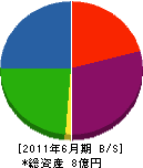 小田島建設 貸借対照表 2011年6月期