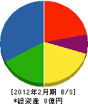 カユカワ 貸借対照表 2012年2月期