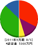 富沢塗装工業 貸借対照表 2011年9月期