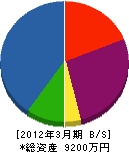 川井設備工業 貸借対照表 2012年3月期