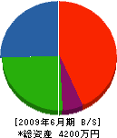 中島産業 貸借対照表 2009年6月期