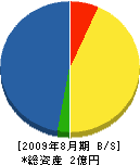 田村建築 貸借対照表 2009年8月期