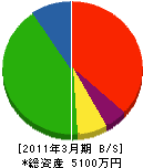江口工芸社 貸借対照表 2011年3月期