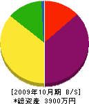 手塚電設 貸借対照表 2009年10月期