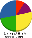 斉藤土建 貸借対照表 2010年3月期