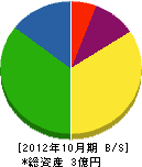 川尻電気 貸借対照表 2012年10月期