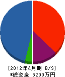 佐藤建設 貸借対照表 2012年4月期