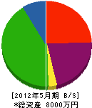三徳電気 貸借対照表 2012年5月期