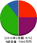 石川電気商会 貸借対照表 2010年3月期