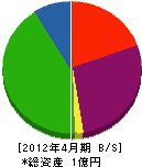 丸美商会 貸借対照表 2012年4月期