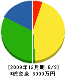 中井工業 貸借対照表 2009年12月期
