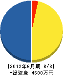 東信電気 貸借対照表 2012年6月期