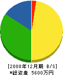 佐藤建装工業 貸借対照表 2008年12月期