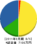 大川内造園 貸借対照表 2011年8月期